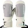 Skihandschoenen Skihandschoenen Winter Warm Heren Dames Buitensporten Bergbeklimmen Paardrijhandschoenen Winddicht Waterdicht Snowboardwanten