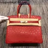 Designer Bags Ostrich Handbags Tote Bag Handmade Original Leather 25cm Red Womens Handbag with Goat Skin Inside Large Capacity