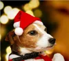 Шляпа Санта-Клауса для домашних животных, Рождественская кошка, собака, зимняя теплая плюшевая шапка, Рождественская вечеринка, декор, шляпа, забавная, милая, для косплея домашних животных, сделай сам, собаки, кошки, костюм Decor5606066