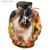 Herren Hoodies Sweatshirts Cool Cat Print 3D Kapuzenpullover Frühlings- und Herbstsaison Männer/Frauen Geeignete Hipster Cats Hoodies Pullover S-5XL Q231110