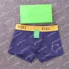 Boxers respirants pour hommes, sous-vêtements de luxe imprimés de styliste, 6 couleurs, 3 pièces/lot, nouvelle collection