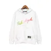 Designer Paluxury Brand Clothing Chao Palm Angel Rainbow Letter Tryckt hoodie för män och kvinnor kopplar lös jacka