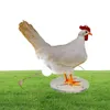 Tassidermia Lampada di pollo Decorazione Camera Luci notturne Simulazione Galline ovaiole Luce Animale Uova di gallina Lampada Festa Decorazione domestica2997608