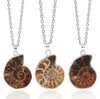 Natural Spotted Colorful Snail Pendant Nautilus Electropated Necklace Chrysanthemum Halsband smycken Bohemian