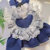 Vêtements de chien dentelle amour animal de compagnie robes de chat denim sangle pour petit chiot doux classique princesse jupes vêtements