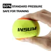 Squash Racquets Beach Tennis Ball 6 16Pcs ITF Approved Stage 2 Balls 50 Low Compression for Beginners Training PET Dog 231109