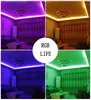 220V RV RGB LED NEON SIGNER MULTICOLORE avec télécommande IR Roller à LED Corde à étanche à la lumière LED flexible Rande de ruban extérieur pour lampe de jardin 220V 110V