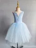 Stage Wear Sky Blue Ballet Tutu Skirt Women Dress Long Vestidos For Girls Performance Clothing Swan Belly Dance Skirts Balet Girl