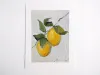 Art moderne morte, peinture à l'huile de citron pour cuisine, salle à manger, peinture d'art mural de fruits sur toile, œuvres d'art peintes à la main