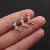 Stud Earrings 1PC Drop Dangle Ear Piercing Stainless Steel Women Crystal Jewelry Gifts Cartilage