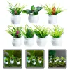 Trädgårdsdekorationer 7st Simulering Vase Plants Pots Bonsai Form Micro Landscaping Decors House Supplies