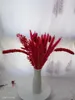 Fleurs décoratives 60 pièces de bouquet de fleurs de roseau rouge branche d'herbe de Pampas sèche décoration de mariage famille