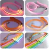 Colliers pour chiens LED chaîne lumineuse tracteur corde pour animaux de compagnie USB Flash collier de Traction accessoires sécurité nocturne