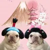 Outros suprimentos para cães Japonês Samurai Chapéu engraçado para cães Hilariante Pet French Bulldog Costume Lion Hair Wig Cap Cosplay Fantasias de filhote de cachorro para cães pequenos 231109