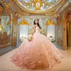 Pink Quinceanera Kleider Blumen Schatz süße 15 Mädchen Prinzessin Kleid Vestidos de Prom Ballkleider