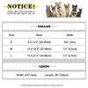 Hundhalsar Löser Personlig läderhundkrage Leash Set Custom Puppy Collar Justerbart husdjurhalsband för små medelstora stora hundar gratis graverade 231110