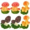 Tuindecoratie 6 stuks Cake Paddestoel Ornament Nep Paddestoelen Mini Standbeeld Miniatuur Snuisterijen Ornamenten Bonsai