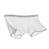 Yoga Outfit Sexy Underpants Men Summer Thin Mesh Breathable Seamless Men's Panties Middle Waist Boxers Transparent Ice Silk Short Pants