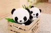 Stuffed Plush Animals New Plush Panda Toys Cute Stuffed Animal Doll Mother And Son Toy Gift for Children Friends Girls Home Decor Christmas Gift R231110