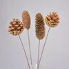 Decorative Flowers Natural Dried Hardcore Pine Cone Shooting Props Home Furnishings Manual Production