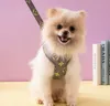 Fashion Designer Dog Collars Crenne Leashes set di cuoio classico per alteo da pet collare per animali