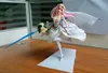 Filmspiele 25CM Darling in the FranXX Wedding Dress Zero Two 02 For My Darling 1/7 PVC Action Figure Toys Adults Collection Model Doll