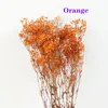 Fleurs décoratives 75g/Lot véritable immortalité absorbant gypsophile gros Bouquet cadeau de noël Arrangement de fleurs séchées