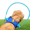 Dog Collars Leashes Pets Safe Halo Harness For Blind Pet Anticollision Ring Scorpion Cataract Animal Protection Guide4557934