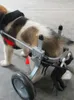 Véhicules électriques de scooter de vêtements de chien pour fauteuil roulant de membre arrière de voiture de réadaptation d'animal handicapé