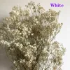 Fleurs décoratives 75g/Lot véritable immortalité absorbant gypsophile gros Bouquet cadeau de noël Arrangement de fleurs séchées