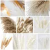 Faux Floral Greenery 79Pcs Natural Dried Fluffy Pampas Grass Bouquet Set Boho Home Decor Pompous Large Reed Bunny Tail Trigo Stalk Decorativo 230410