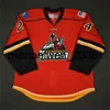 Weng New ECHL Adirondack Thunder 21 MacArthur 24 Ty Loney Uomo Donna Bambini 100% Ricamo Personalizzato Migliore qualità Maglie da hockey economiche Goalit Cut