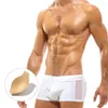 Herren Bademode Herren Badehose Strandhose Surfen Badeanzug Surfbrett Sexy Mesh Transparent Pad Push-up Schwimmanzüge