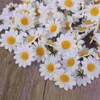 Kwiaty dekoracyjne stokrotka głowica kwiatowa Gerbera sztuczne fałszywe dekoracje impreza rzemiosła tkanina druhna mini wypełniacze Wazon jedwab