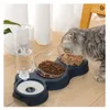Dog Bowls Feeders 3 in 1 Cat Food Bowl Automatic Feeder Water Dispenser Pet Container Drinking Raised Stand Dish bowl 230410