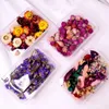 Decorative Flowers 1Box Crystal Epoxy Filler Dry Flower Mixed Nail Stickers Decorations Resin Filling Material Crafts Art Jewelry Making DIY