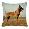 枕 /装飾45cmx45mかわいいペット犬セントラルアジアパターンリネン装飾枕カバーカバーソファウエストPC008 /デコ