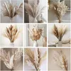 Faux Floral Greenery 79Pcs Natural Dried Fluffy Pampas Grass Bouquet Set Boho Home Decor Pompous Large Reed Bunny Tail Trigo Stalk Decorativo 230410