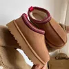 Tazz kapcie Tasman kapci Designer Buty Australia Buty Designer Buty Winter Boots Slip-On Ultra Mini Bott Bott Oryginalny skórzany futra pantofla