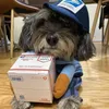 Dog Apparel Funny Express Disguise Cosplay Costume With Hat Set Halloween Christmas Outfits For Medium Large Dogs Cats