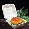 Afhaalcontainers 50 Stuks Wegwerp Bento Box Suikerrietvezel Composteerbare Voedselcontainer 6 Inch Hamburger Magnetron Universele Koelkast