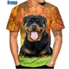 Men s t shirts schattige huisdierhond rottweiler 3D printing t shirt en dames zomer casual korte mouwen grappige xs 5xl 230411