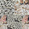 Minchas 50pcs brancos DIY marinho marinho Cowrie Cowry charme Acessórios de jóias de praia para mulheres Brincos de colar de pulseira Delive Dhkie