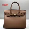 Designer-Bag Damenhandtaschen Platinum Palm Muster Kuhleder tragbarer Einschuld Bote beliebte klassische Mode