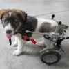 Véhicules électriques de scooter de vêtements de chien pour fauteuil roulant de membre arrière de voiture de réadaptation d'animal handicapé