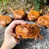 Bolsas saquinhos carteira de couro individualidade moeda animal bolsa feminino presente no dia dos namorados bola de bolsa de cana-de-corpo de cachorro de lápide