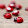 Décorations de jardin 200 pcs autocollants de Noël mini coccinelles décor chambre d'enfant micro paysage ornement en bois bambou simulation insectes