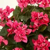 花瓶24.5 "bougainvilleaと花瓶の人工植物