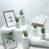 Kwiaty dekoracyjne sztuczne plastikowe soczyste kaktus kwiat domowy biuro dekoracje