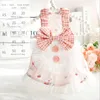 Cat Costumes Dog Clothes Spring And Summer Thin Princess Skirt Plaid Bow Lolita Small Pet Wholesale Dress Cats